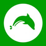 Как включить или выключить куки (cookies) в Dolphin Browser